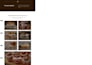 design a professional tilda website